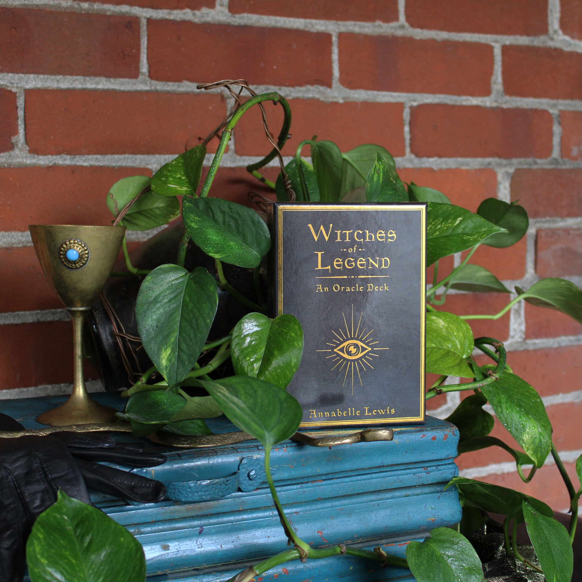 The art of Annabelle Lewis draws you deep into the beautiful magic of the unknown. A playground of ancient Goddesses and witches, each one whispering to that place inside of ourselves. One that is free, eternal and is unburnable. Oracle card deck and Tarot deck.